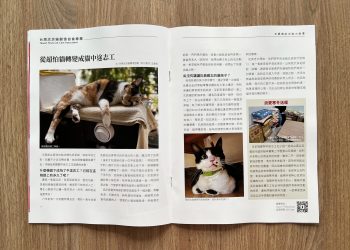 謝祖武其實是貓奴？養貓人必備《貓咪與我》收錄不為人知的一面