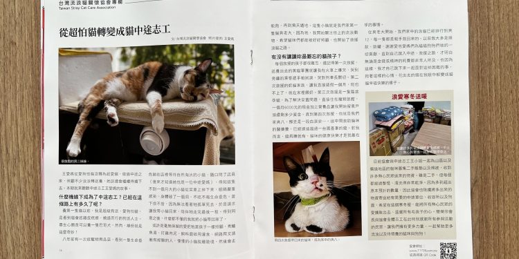 謝祖武其實是貓奴?養貓人必備《貓咪與我》收錄不為人知的一面