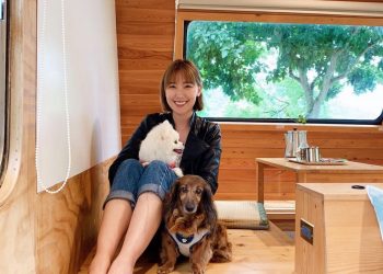 李懿暖心助浪浪結紮　海邊補貓下一秒⋯手機噴飛落海