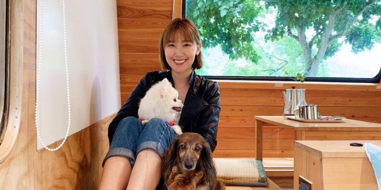 李懿暖心助浪浪結紮 海邊補貓下一秒⋯手機噴飛落海