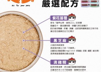 九品芝麻「罐」可愛又吸睛！新創品牌「特別待遇」推系列貓主食罐