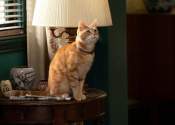 Disney+ 2 月上架新片單出爐　《驚奇隊長2》、《星際大戰：瑕疵小隊》第三季即將上線