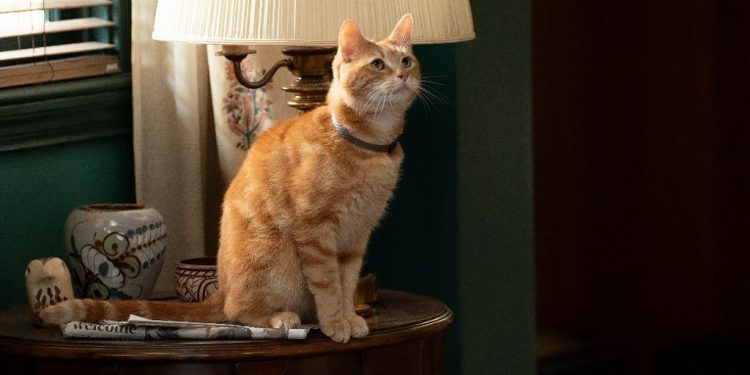 Disney+ 2 月上架新片單出爐 《驚奇隊長2》、《星際大戰:瑕疵小隊》第三季即將上線