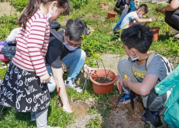 「2024植樹節 公私協力碳匯造林」  2/22起開始網路報名 歡迎民眾踴躍參加