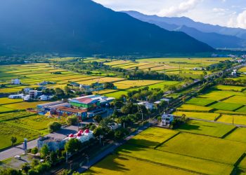 即刻報名OKRUN愛在關山  最高獨得一年份關山米再抽捷安特