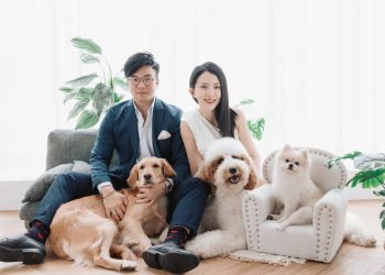 「毛小孩」也是家人 寵物保健食品關注上升