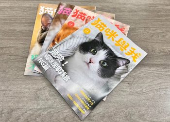 從怕貓到6貓家族！邵庭在「貓咪與我」告白和貓咪一見鐘情的故事