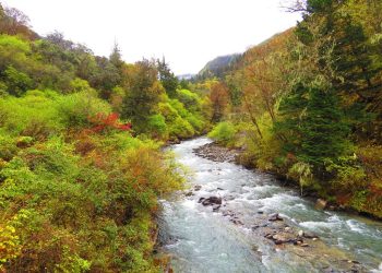 探究川藏秘境「稻城亞丁」　聆聽康定情歌賞山水之美