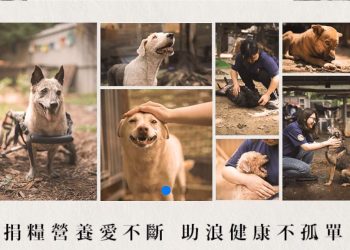 法國皇家攜手 momo 購物網　守護浪浪捐糧營養愛不斷