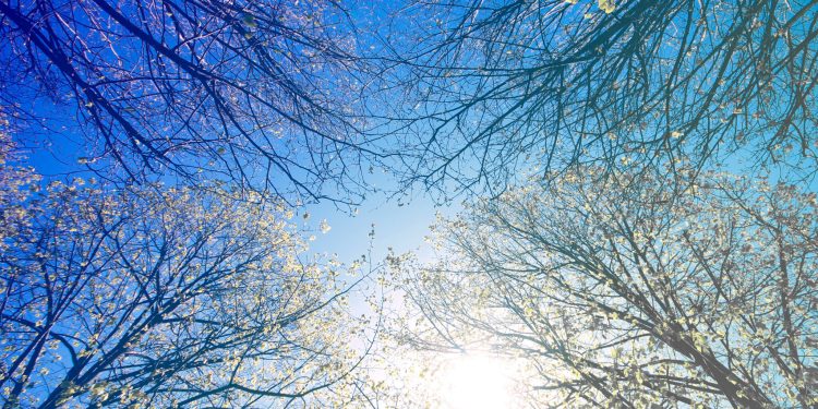 迎接秋季 打造舒適內在美 女性內衣選擇關鍵指南