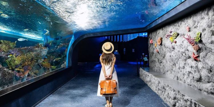 沖繩景點｜海島度假勝地，九個必訪景點一次看！懸崖上的神社、隱藏秘境Beach51