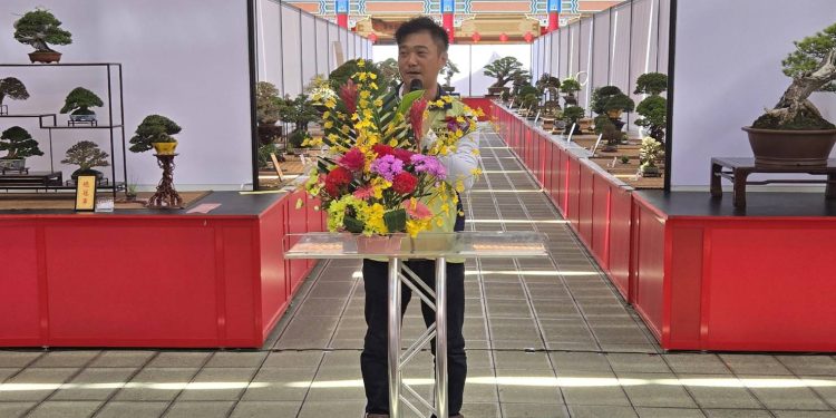 藝術綠意再現!台南盆栽展震撼登場 頂級作品齊聚一堂