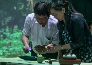 農業與文化創新結合 臺大農經系推出沉浸式體驗展