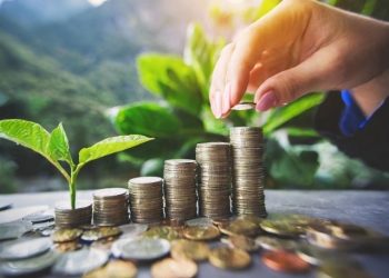 退休族看過來! 純A債00950B配息0.082元 11/26發收益