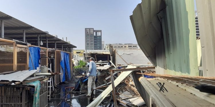 糧舍商號攜手守護天使 提供百萬糧食 助力浪浪之家災後重建