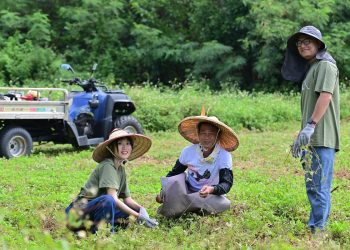 金門一條根新突破！HOSE「滾珠按摩刀」攜小農驚人創舉