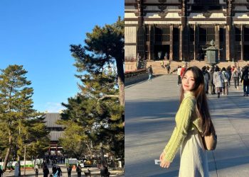 日本景點｜奈良旅遊全攻略、千年古都必訪行程可不只有餵鹿