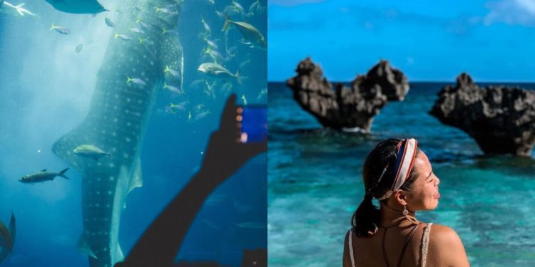 沖繩自由行|在沖繩來趟自駕之旅 2024必看沖繩旅遊攻略!