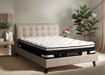 新加坡設計詩肯柚木 GOLDEN JUBILEE50週年紀念床墊