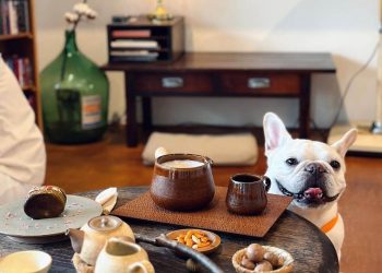 台北美食｜追星見歐爸要吃好 台北流行音樂中心週邊美食 少女心爆發新泰式料理得試試。