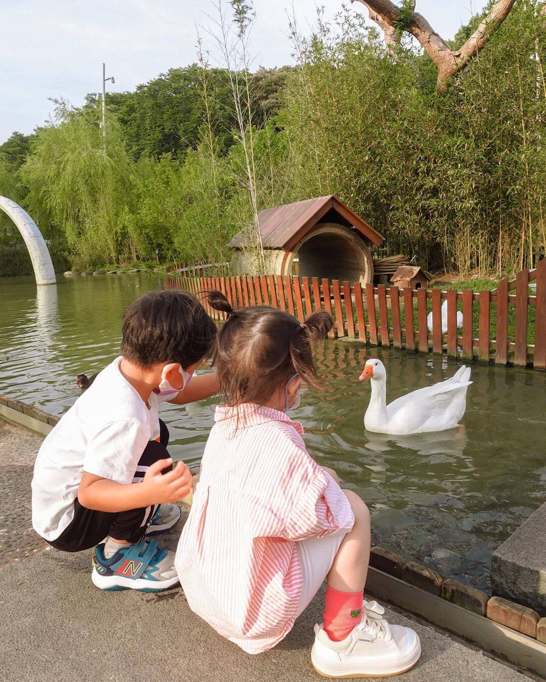 桃園景點｜桃園一日遊景點推薦｜大有梯田生態公園