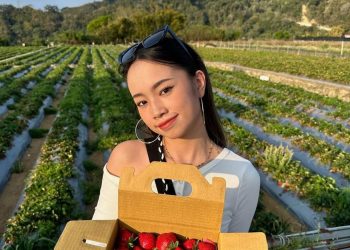 苗栗景點｜草莓控必收 嚴選7家大湖草莓園 一窺其中