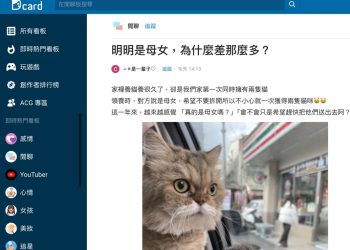 母女貓性格迥異 網友分享「挑嘴小公主」養成記