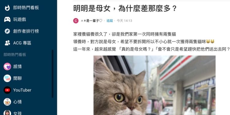 母女貓性格迥異 網友分享「挑嘴小公主」養成記