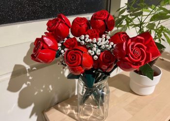 小孩生日該送啥？人妻神選「1絕美好禮」被讚爆 網嗨：買了不後悔