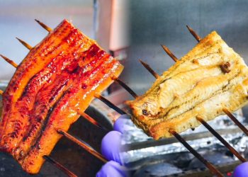 「台北最好吃鰻魚飯」挑戰賽！初鰻黑白大廚「鰻魚爭霸」開打