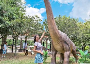 彰化親子農場｜帶著孩子出門放電 餵食小動物玩水玩沙 記錄孩子成長