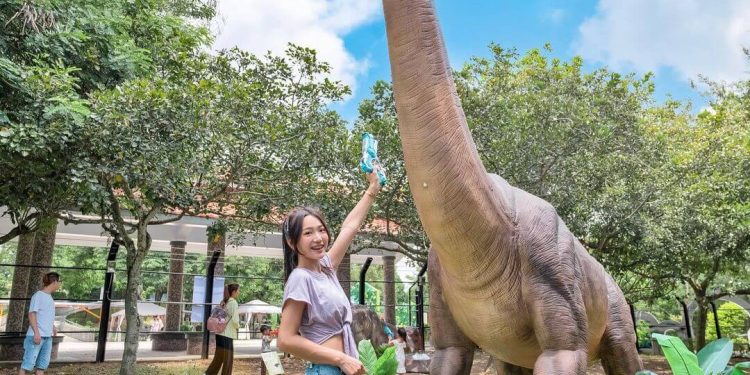 彰化親子農場｜帶著孩子出門放電 餵食小動物玩水玩沙 記錄孩子成長