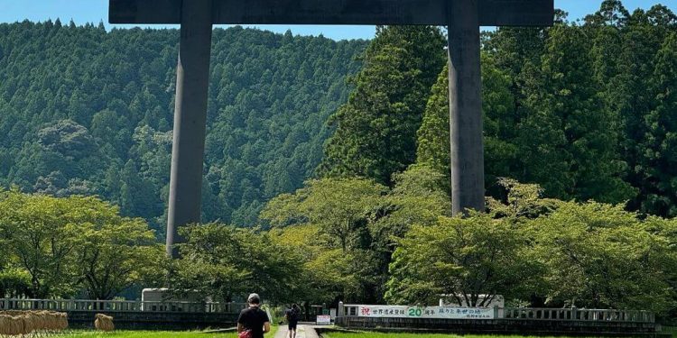 日本景點|參拜、抽籤、御守 必訪日本神社感受日本文化 祈求神明保佑