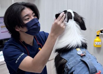 帥氣獸醫出沒寵物用品展 寵物百分百限時義診毛孩