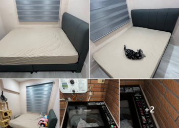 過年前「除舊佈新」熱潮 這兩款momo熱銷商品讓網友狂推