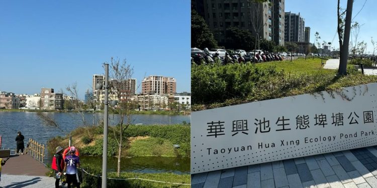 桃園景點｜桃園最新特色公園 華興池生態埤塘公園攻略 還有新開幕咖啡廳