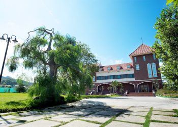 過年出遊好選擇！來苗栗大湖採草莓留宿巧克力夢幻莊園