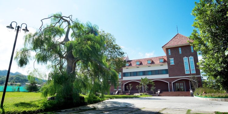 過年出遊好選擇！來苗栗大湖採草莓留宿巧克力夢幻莊園