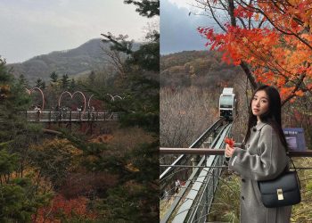 韓國景點｜和談林一日遊！韓國最佳賞紅楓地點 搭單軌列車穿梭山野