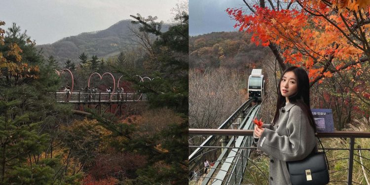 韓國景點|和談林一日遊!韓國最佳賞紅楓地點 搭單軌列車穿梭山野