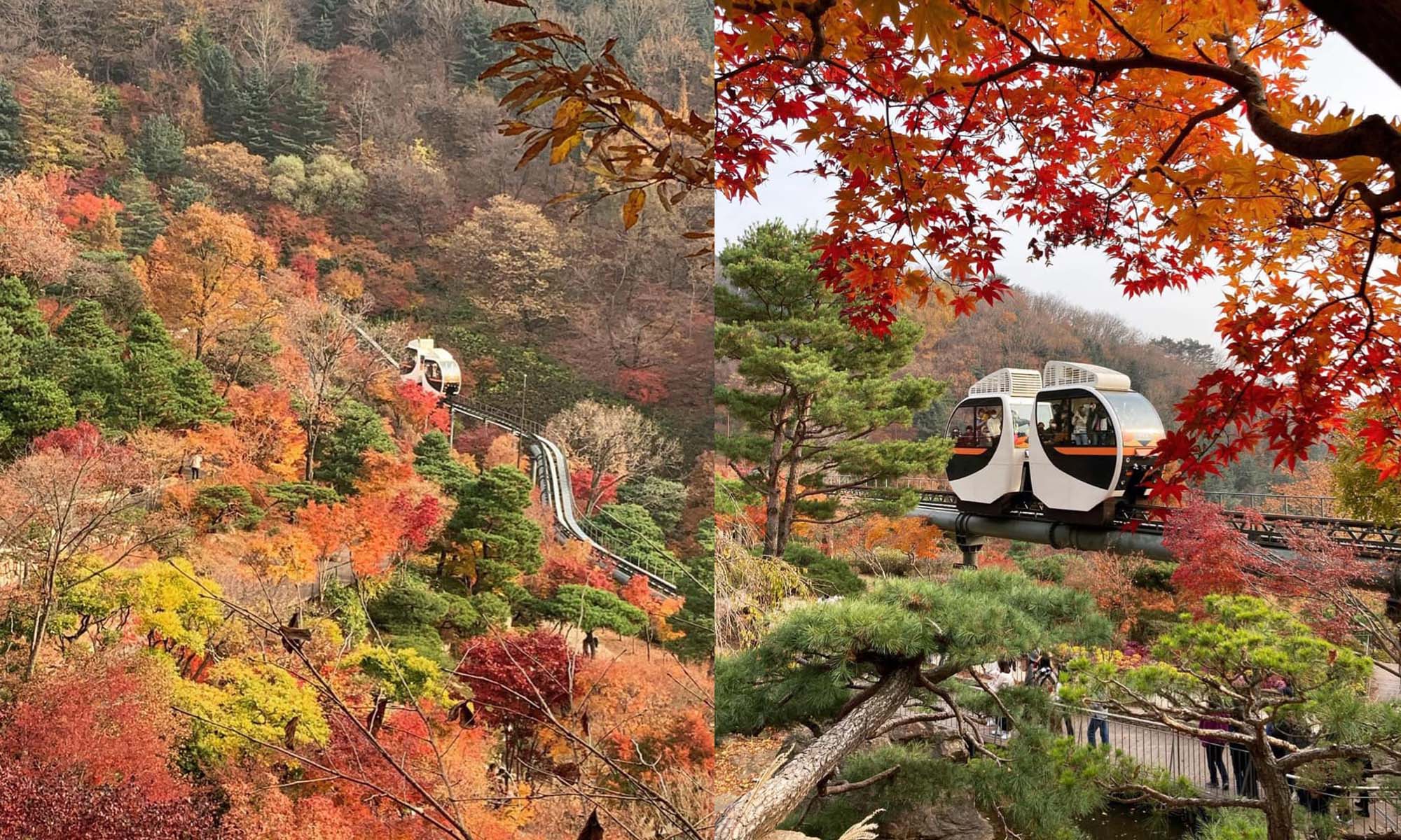 韓國景點：和談林一日遊！搭單軌列車穿梭山野