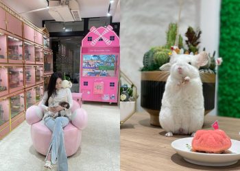 寵物咖啡廳｜全台7家超特別動物咖啡廳推薦 可愛龍貓一起吃飯 與蛇共舞超新奇 特殊萌寵魅力無法擋