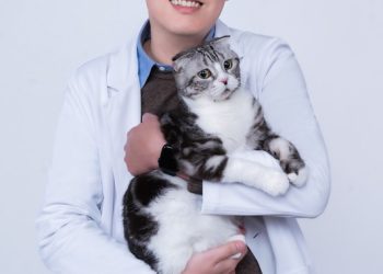 全台首位 營養師親創最有感的寵物保健品牌