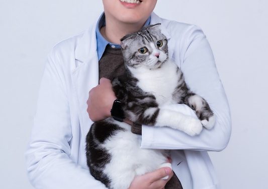 全台首位 營養師親創最有感的寵物保健品牌