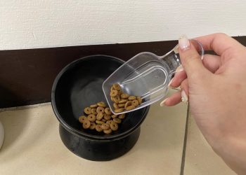 奴才為毛小孩扛飼料腰痠背痛？網推妙招省去麻煩採購