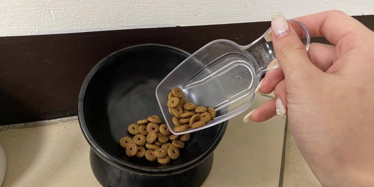 奴才為毛小孩扛飼料腰痠背痛?網推妙招省去麻煩採購