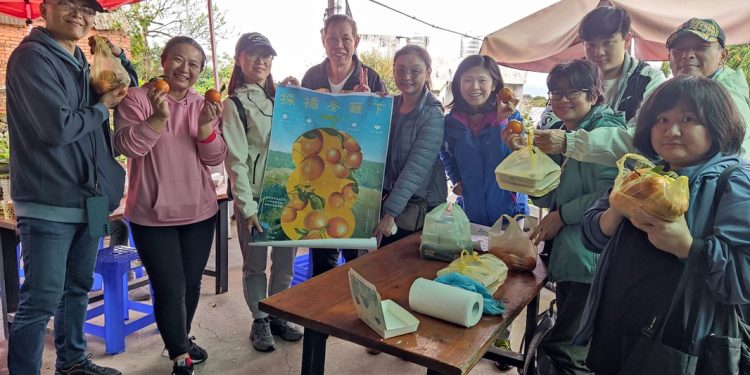 北投區公所規劃專屬農遊行程 新住民享受大屯「柑」甜好滋味