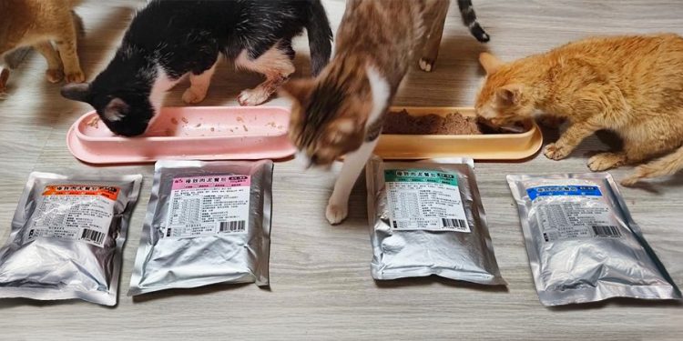 高品質肉泥餐包上市 幫助貓咪健康成長