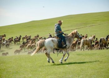 鐵路上的豪奢體驗 呼倫貝爾號啟航 解鎖夏秋草原限定美景