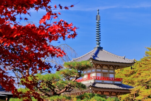 日本自由行｜集結美食、祭典、夜景與日式庭園的日本仙台夏季旅遊攻略